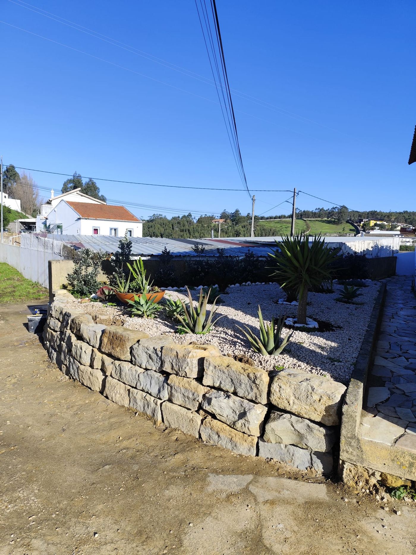 Jardim de gravilha decorativa com suculentas concluído, dia de sol