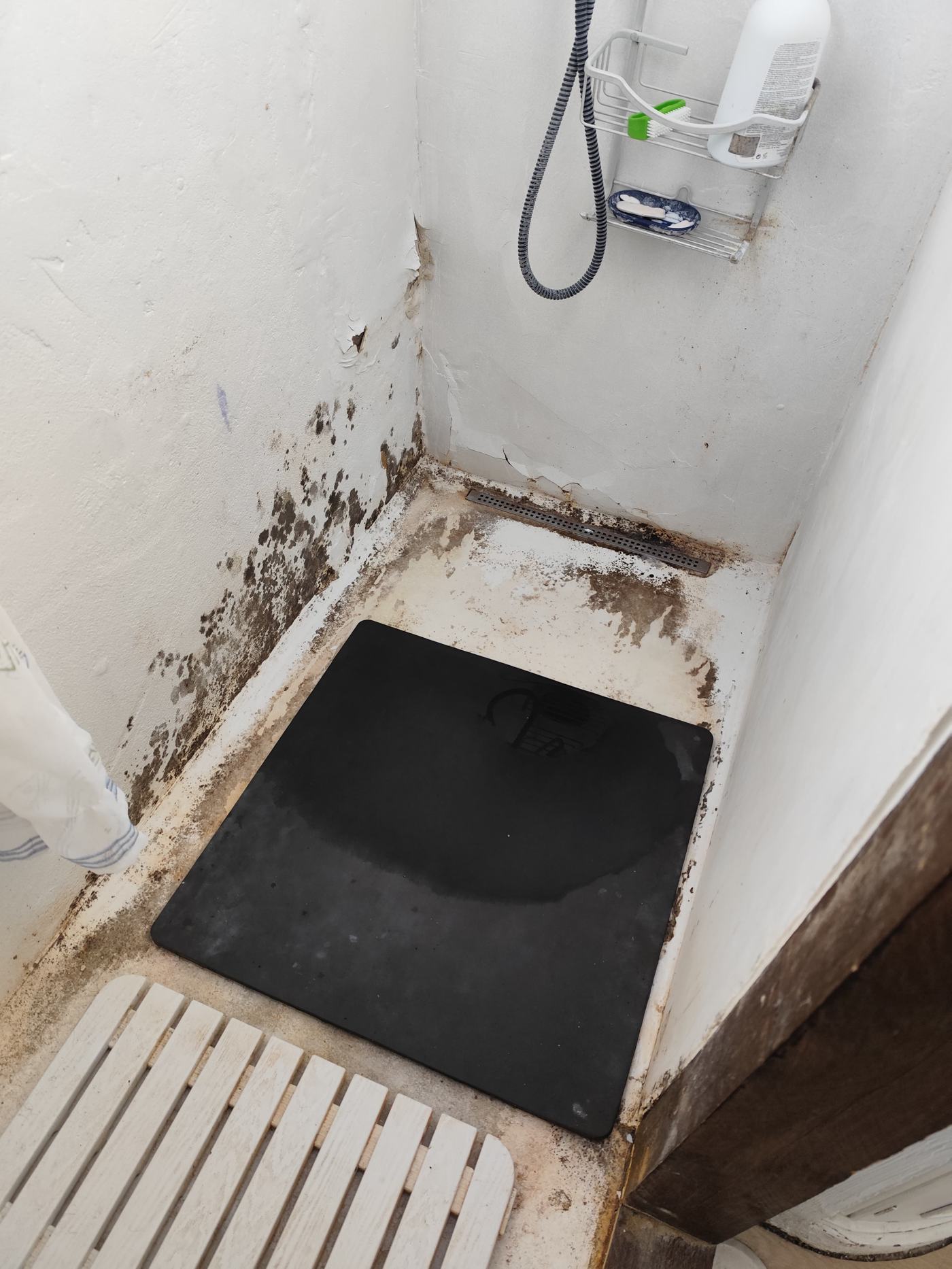 Casa de banho antes da remodelação, com bolor e revestimento degradado
